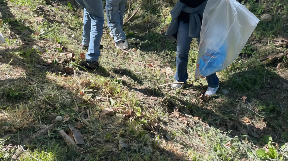 La pulizia dei boschi e delle aree verdi tra i progetti pricipali del Comune per tutelare l’ambiente La pulizia dei boschi e delle aree verdi tra i progetti pricipali del Comune per tutelare l’ambiente