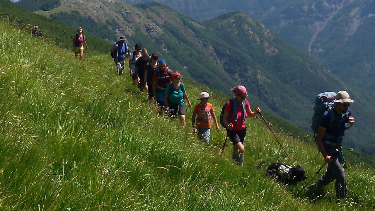 Giornata lombarda delle Montagne, 6 progetti per giovani e famiglie: dove e quando
