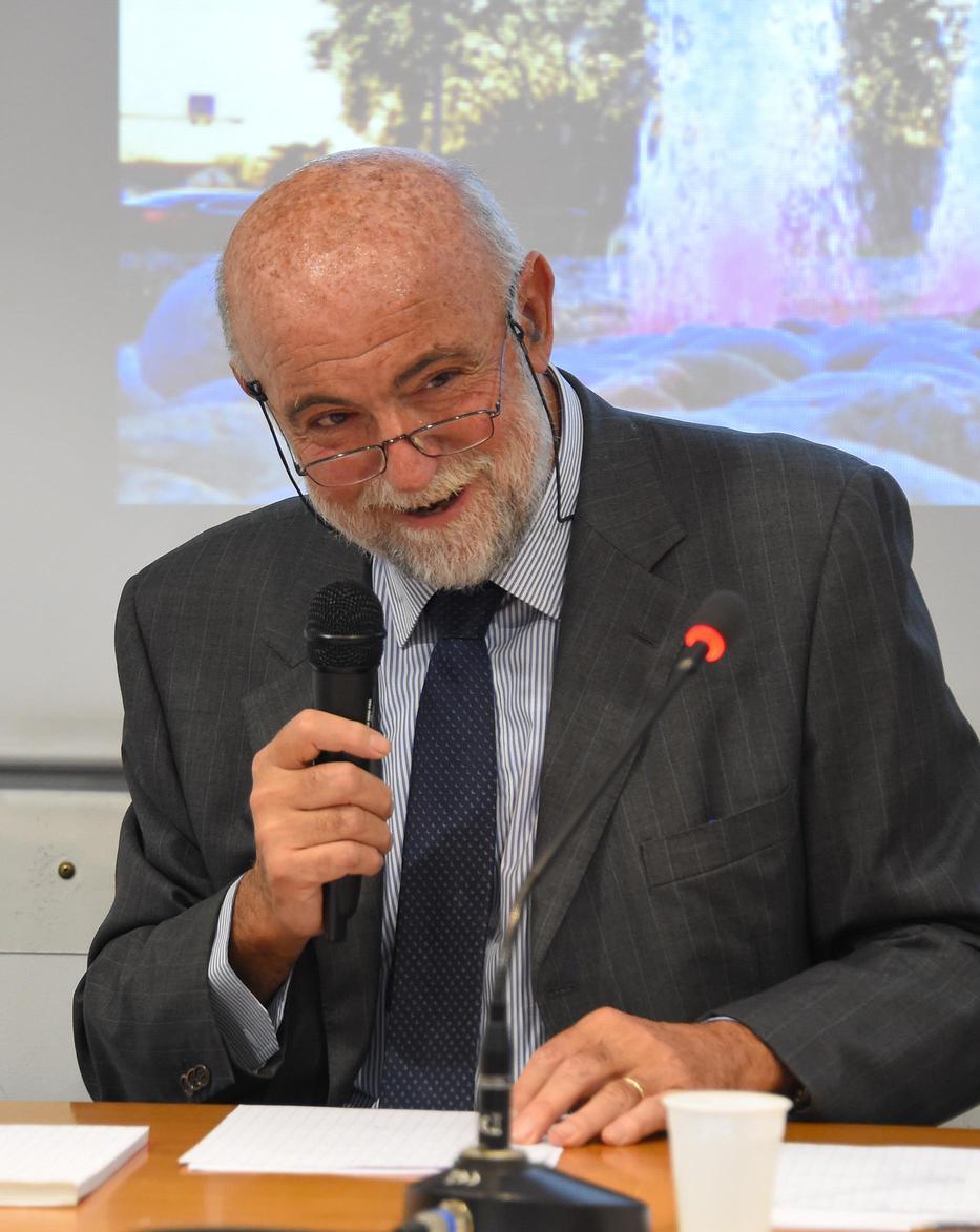 Regolamento edilizio senza pace. Rondini e pipistrelli da tutelare. Si annuncia un’altra battaglia Regolamento edilizio senza pace. Rondini e pipistrelli da tutelare. Si annuncia un’altra battaglia