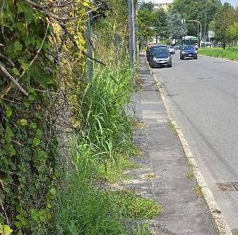 "Marciapiede impraticabile. Un pericolo" "Marciapiede impraticabile. Un pericolo"