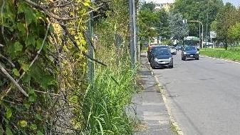 Marciapiede dissestato ed erbacce. È la situazione che si vede nel tratto di via Benozzo Gozzoli, zona Baggio, tra i... Marciapiede dissestato ed erbacce. È la situazione che si vede nel tratto di via Benozzo Gozzoli, zona Baggio, tra i...