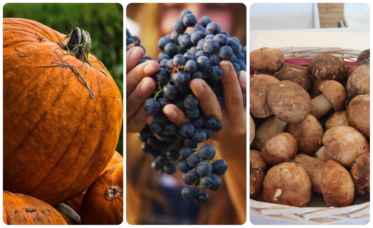 Sagre e feste in Lombardia: 10 eventi nel weekend del 12, 13 e 14 settembre