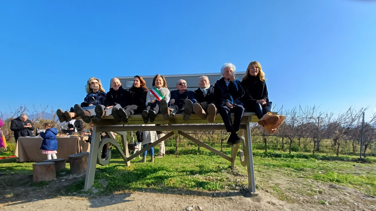 L’ultima tra le panchine censite si trova a Borgonato di Corte Franca immersa nei vigneti di proprietà della cantina Fratelli Berlucchi di Borgonato L’idea di creare panchine di grandi dimensioni è venuta nel 2010 al designer e artista Chris Bangle dopo che si è trasferito nelle Langhe in Piemonte L’ultima tra le panchine censite si trova a Borgonato di Corte Franca immersa nei vigneti di proprietà della cantina Fratelli Berlucchi di Borgonato L’idea di creare panchine di grandi dimensioni è venuta nel 2010 al designer e artista Chris Bangle dopo che si è trasferito nelle Langhe in Piemonte