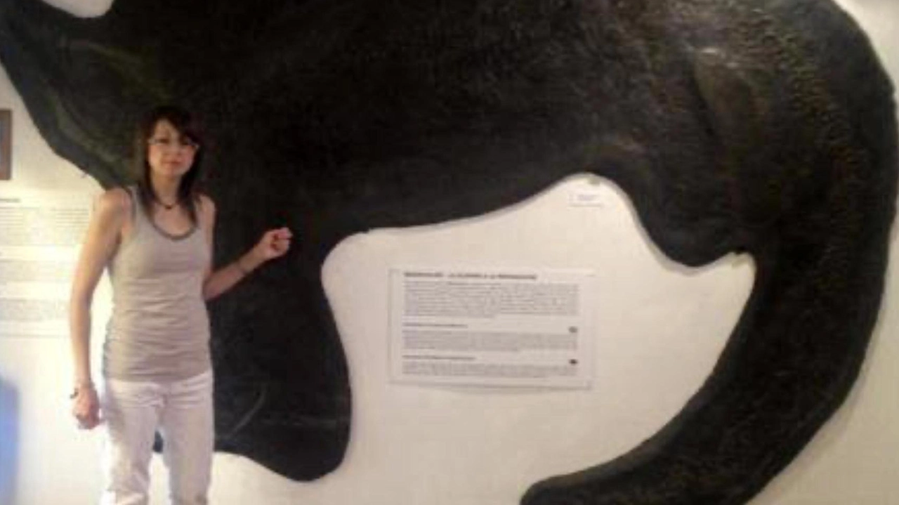 Dal Museo dei Fossili di Besano alle meraviglie del Monte San Giorgio