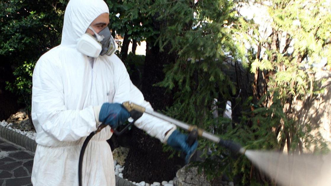 Nuovo caso di Dengue. Via alla disinfestazione Nuovo caso di Dengue. Via alla disinfestazione
