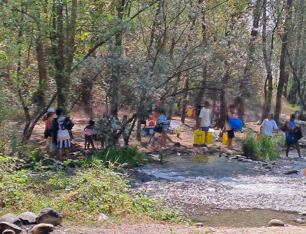 turbigo bloccato un rave party nei boschi e lungo le sponde del fiume ticino