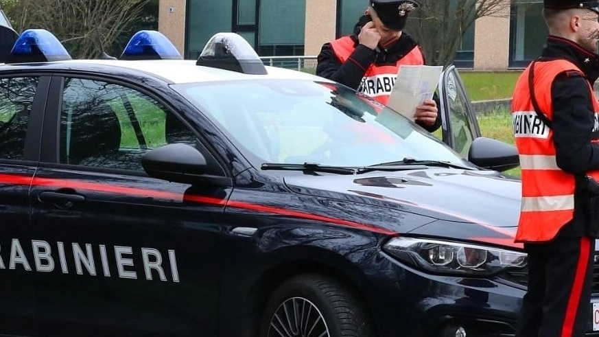 L'indagine è stata condotta dai carabinieri L'indagine è stata condotta dai carabinieri