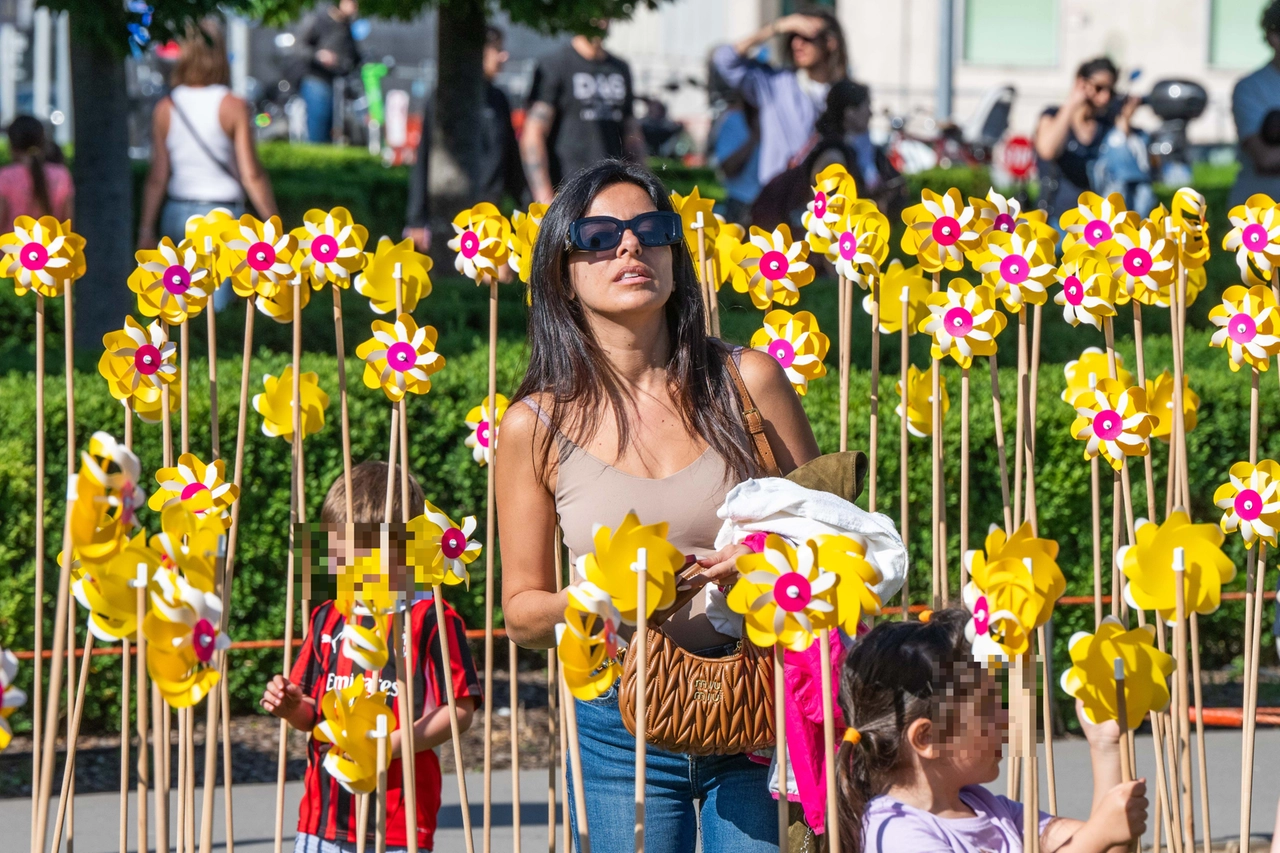 Un campo di girasoli-girandole ha accolto i visitatori