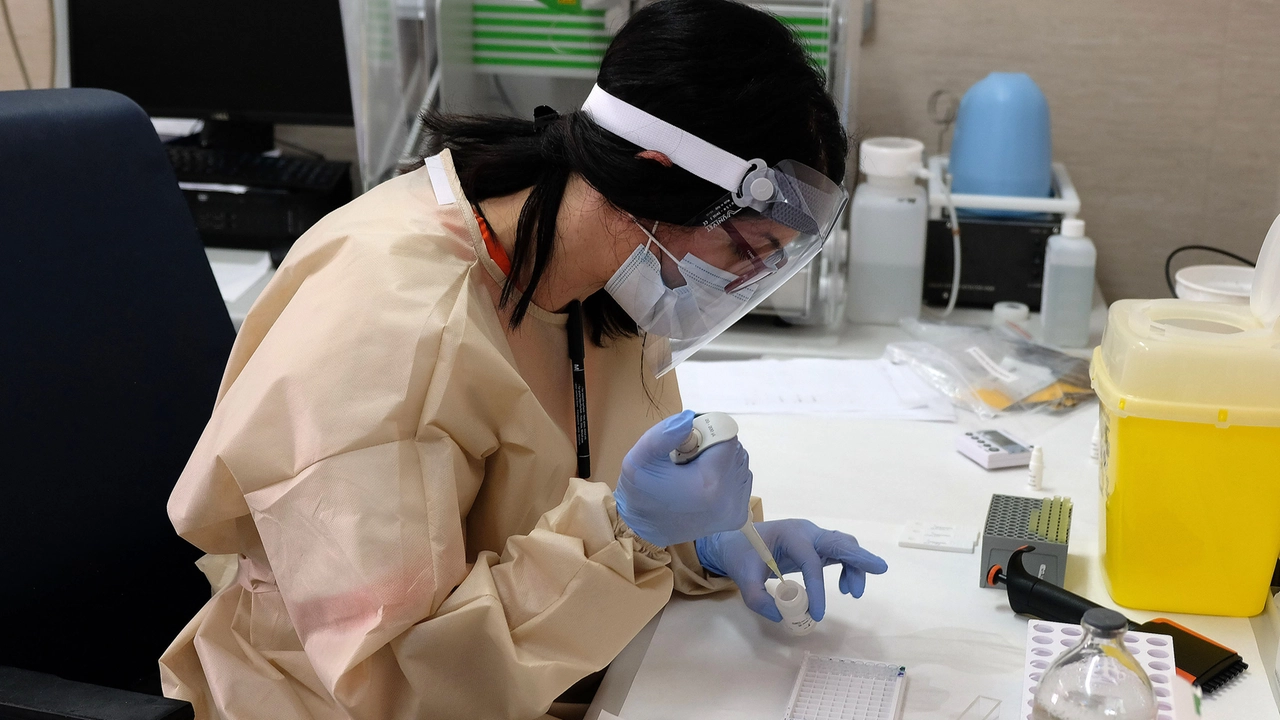 Un infermiere effettua il test sierologico rapido per ill Covid-19 Un infermiere effettua il test sierologico rapido per ill Covid-19
