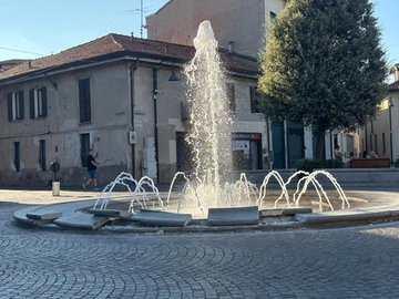 immagine articolo