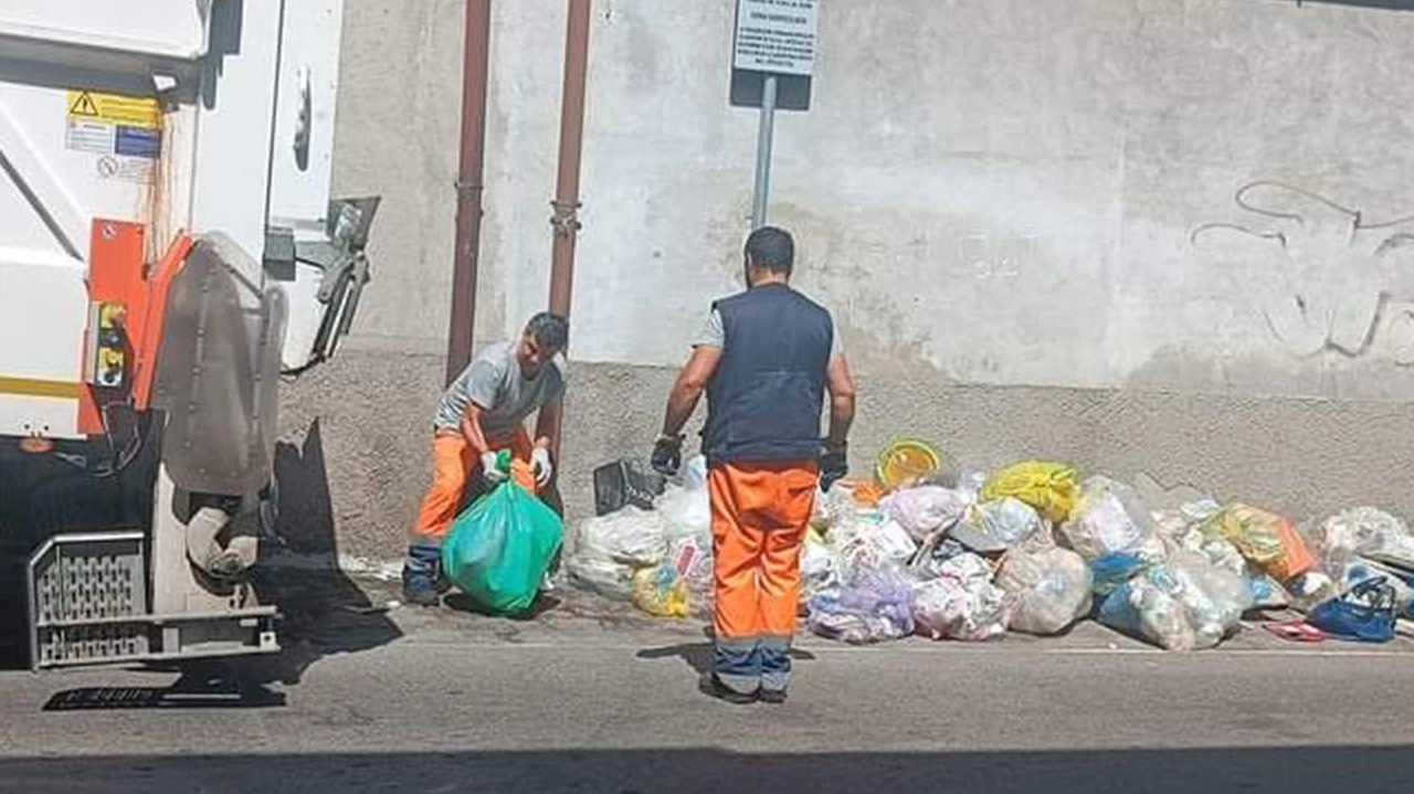La ricetta dell’assessora Giada Turato: "Più telecamere ma meno costose". A settembre le ultime in arrivo, con altri occhi elettronici in via della Offelera. La ricetta dell’assessora Giada Turato: "Più telecamere ma meno costose". A settembre le ultime in arrivo, con altri occhi elettronici in via della Offelera.