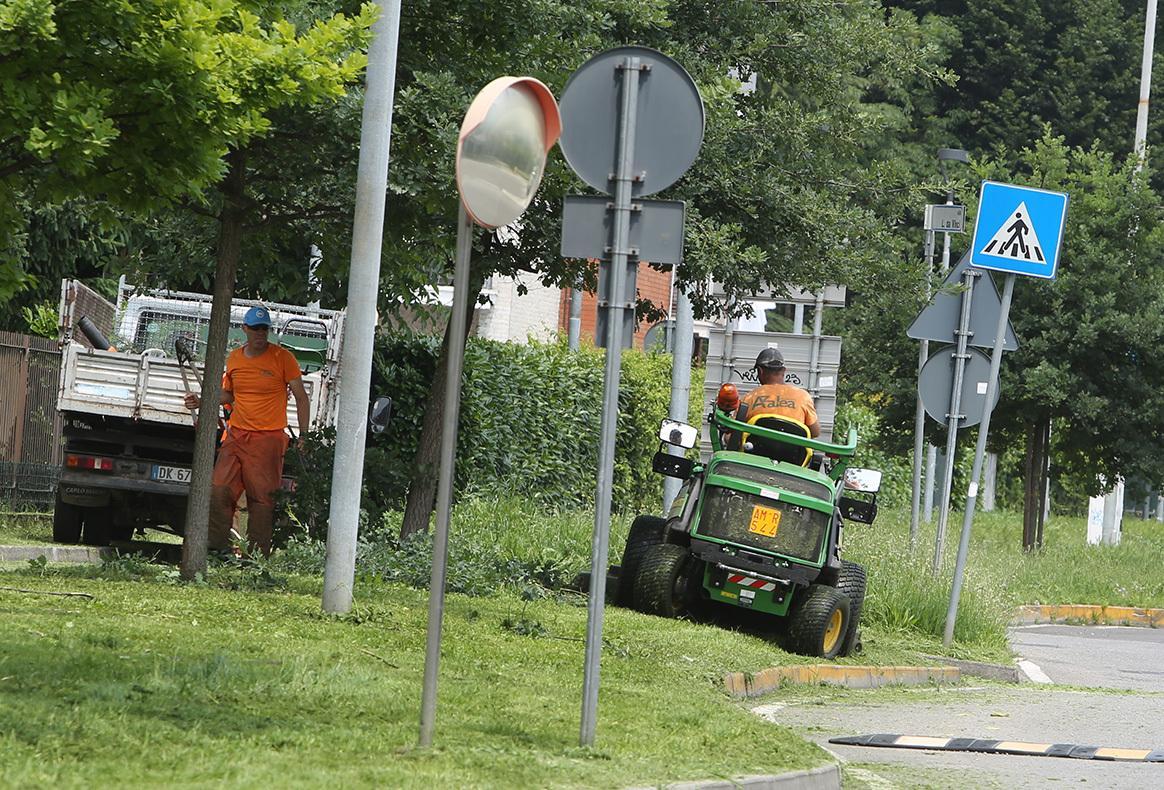 la gestione del verde nel mirino parchi e giardini abbandonati