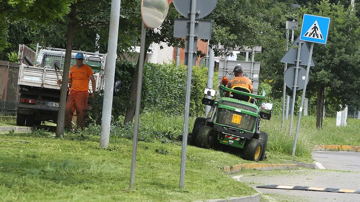 La gestione del verde pubblico è diventata un tema di scontro politico Parchi, giardini, aiuole e marciapiedi. versono in condizioni precarie La gestione del verde pubblico è diventata un tema di scontro politico Parchi, giardini, aiuole e marciapiedi. versono in condizioni precarie
