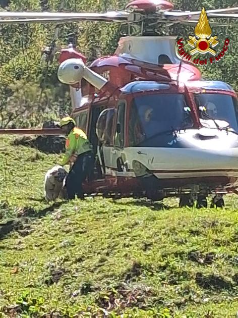 Cane Neve precipita in un dirupo per 200 metri: maremmana salvata in elicottero a Piateda