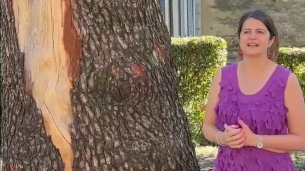 L'assessore Maria Sacchi vicino al cedro dell'Himalaya di Villa Ponchielli