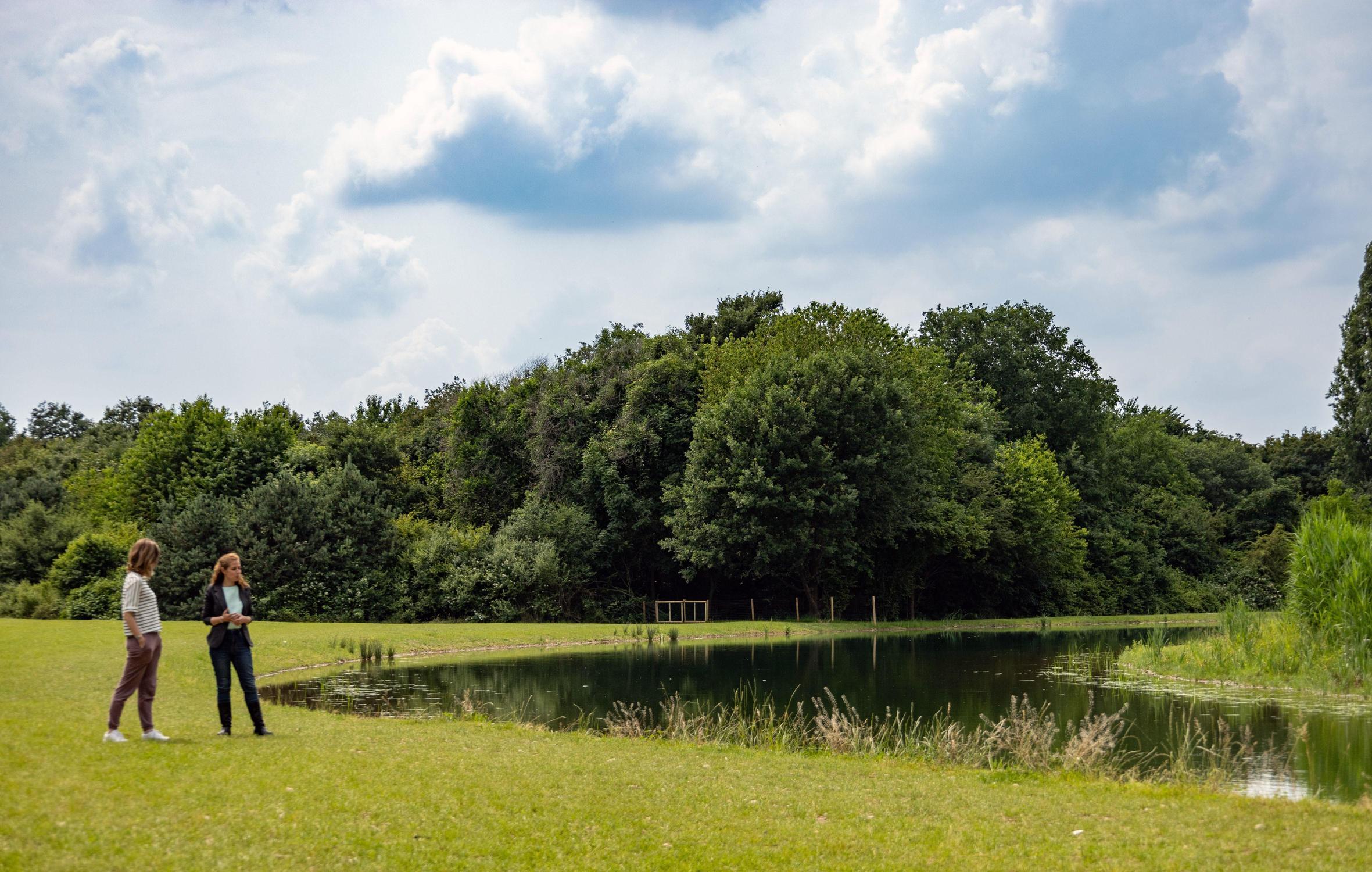 Nuovo lago al Parco Nord: "Oasi e aula a cielo aperto"