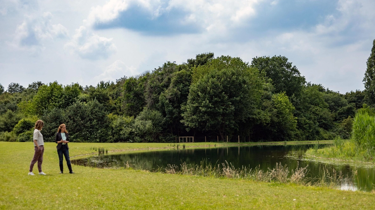Cinisello, finanziato con il Pnrr lo specchio d’acqua di 6.400 metri quadrati. Pronti il sentiero, due isole galleggianti e una struttura per il birdwatching. Cinisello, finanziato con il Pnrr lo specchio d’acqua di 6.400 metri quadrati. Pronti il sentiero, due isole galleggianti e una struttura per il birdwatching.