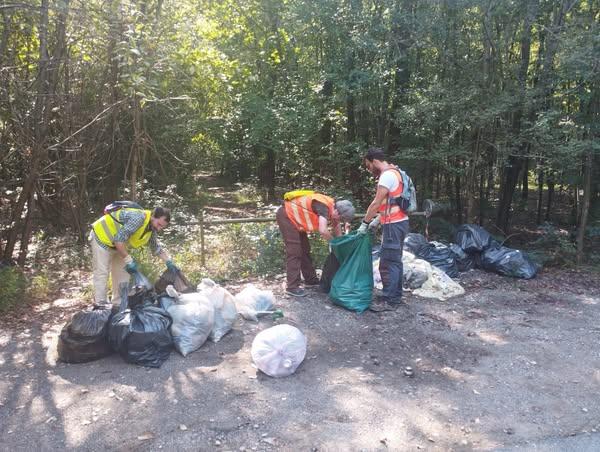 Rescaldina, dal Bosco della droga spunta un passaporto di una minore