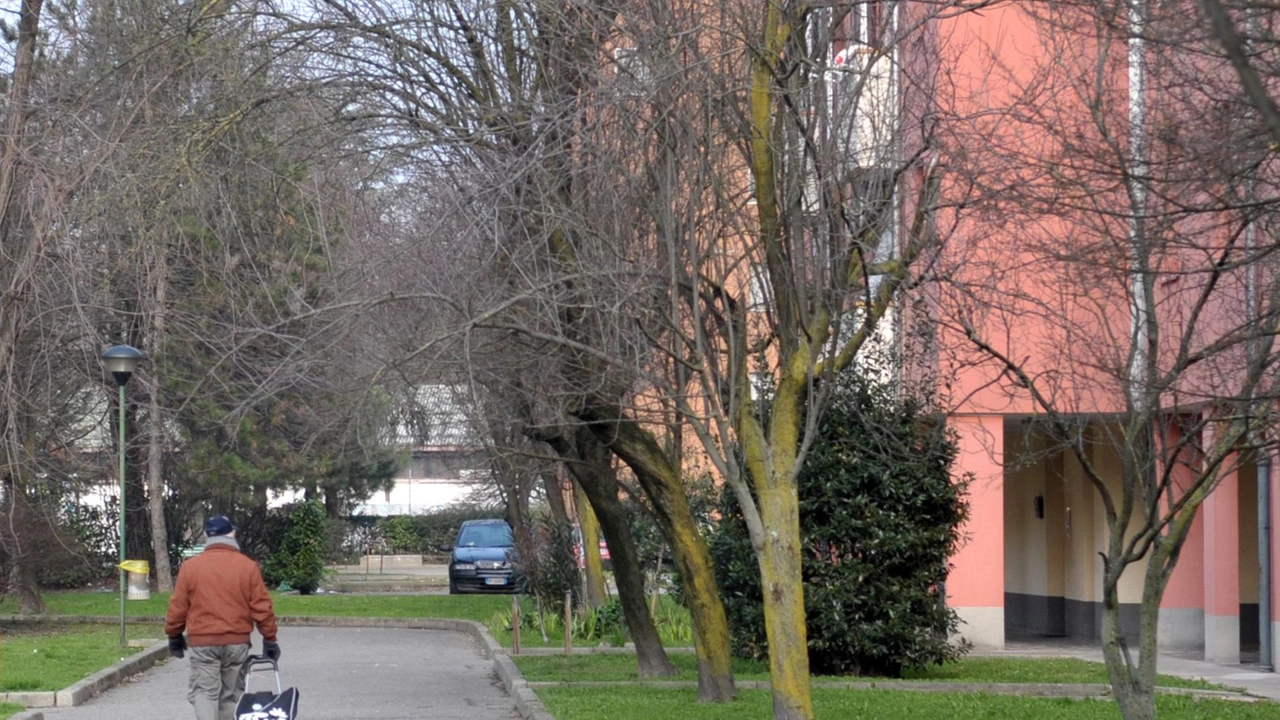 Le case ex Genia di viale Repubblica, un insieme di appartamenti in capo alla curatela della municipalizzata andata in fallimento. Il Comune è intervenuto Le case ex Genia di viale Repubblica, un insieme di appartamenti in capo alla curatela della municipalizzata andata in fallimento. Il Comune è intervenuto