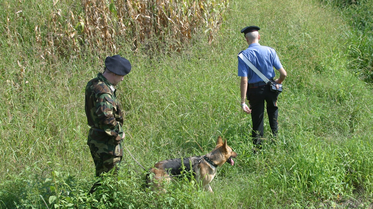 Proseguono le ricerche delle forze dell'ordine (foto di repertorio)