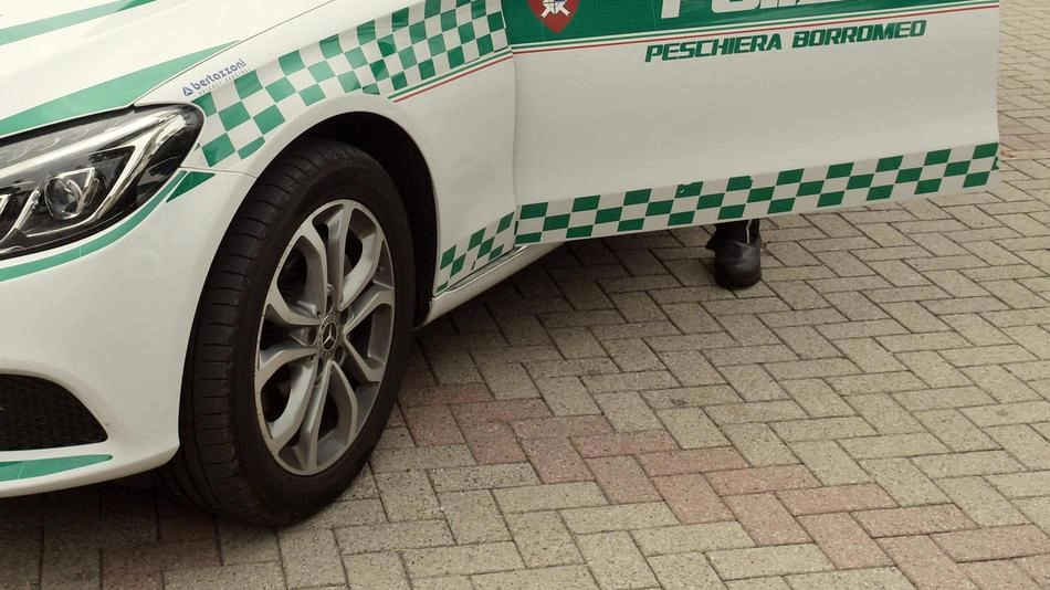 Le scatole sono state abbandonate tra via Grandi e 25 Aprile: uno dei contenitori si trovava lungo il ciglio della strada, gli altri appena dietro un cespuglio Le scatole sono state abbandonate tra via Grandi e 25 Aprile: uno dei contenitori si trovava lungo il ciglio della strada, gli altri appena dietro un cespuglio