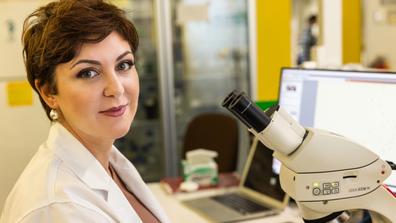 Paola Magni, naturalista ed entomologa forense: è professore alla Murdoch University di Perth Paola Magni, naturalista ed entomologa forense: è professore alla Murdoch University di Perth