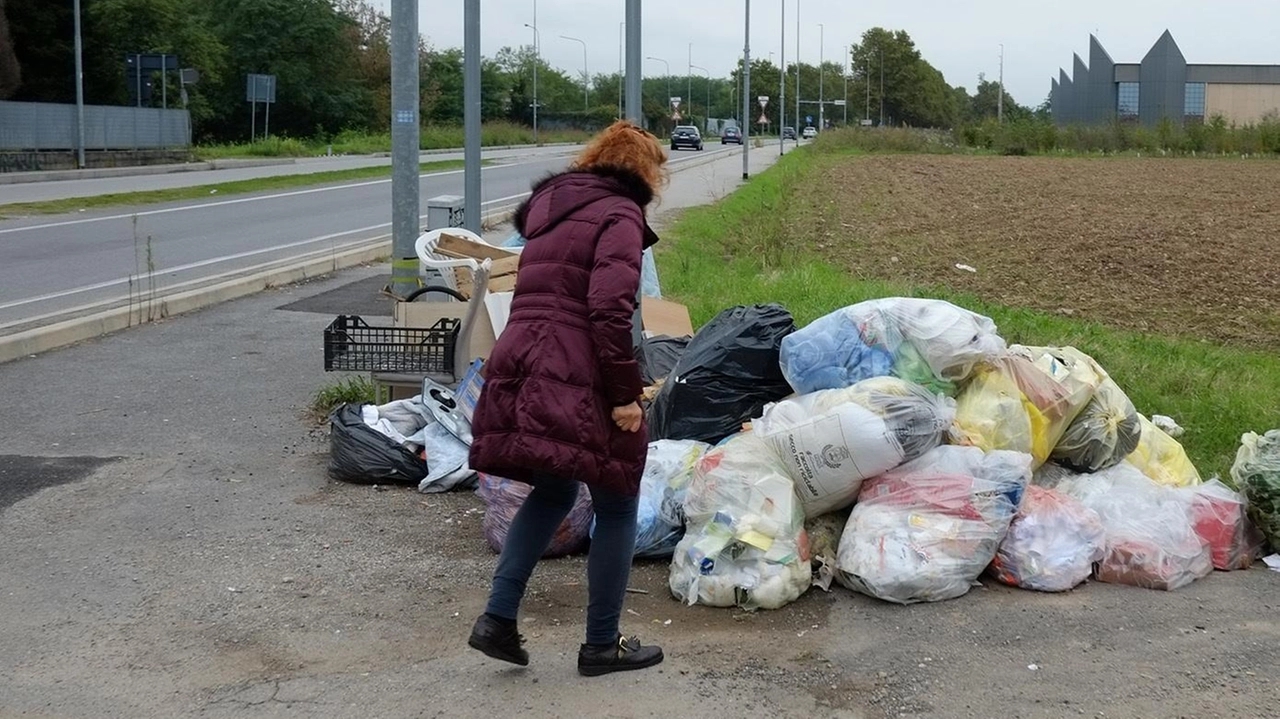 Sacchi di rifiuti di tutti i colori dominano la scena cittadina tra furbetti e regole difficili da seguire Sacchi di rifiuti di tutti i colori dominano la scena cittadina tra furbetti e regole difficili da seguire