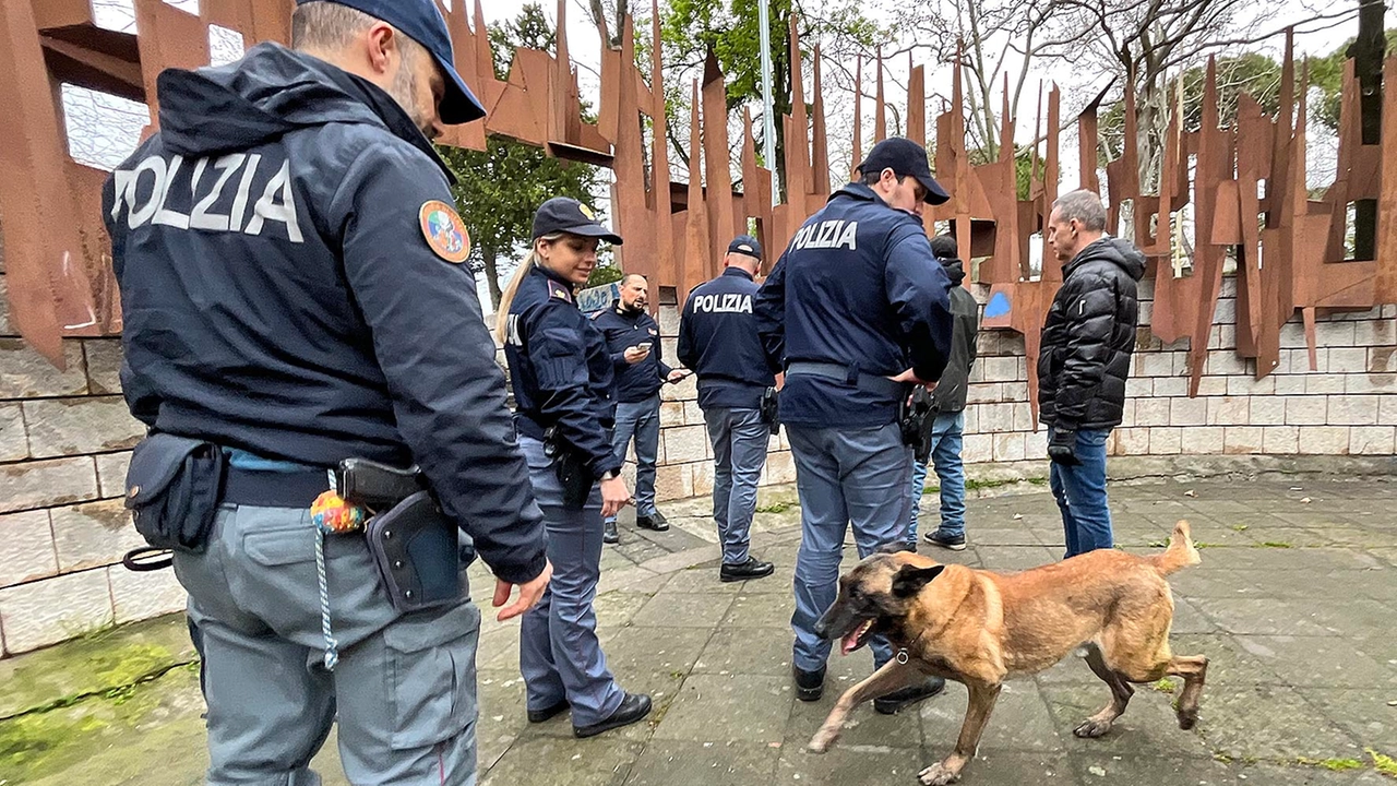 Controlli della polizia Cinofila (Immagine Archivio)
