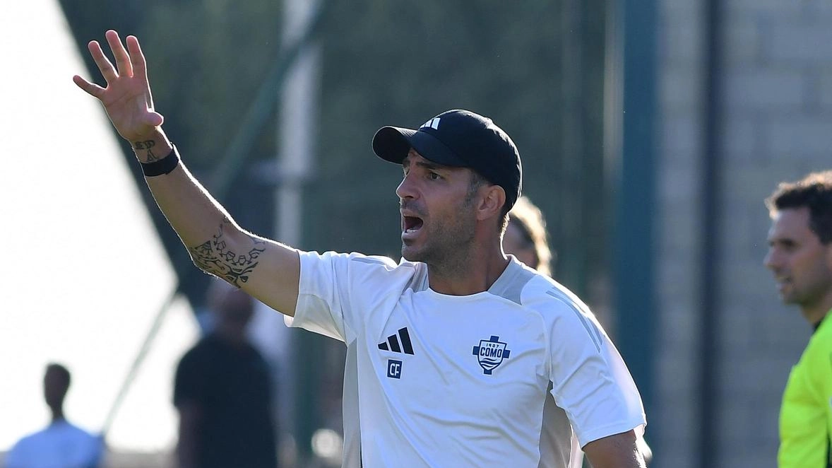 Altro che matricola in Serie A: sta nascendo una grande Como per Cesc Fabregas Altro che matricola in Serie A: sta nascendo una grande Como per Cesc Fabregas