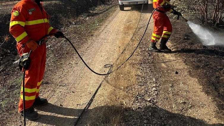 In tredici hanno garantito sorveglianza boschiva e pronto intervento In tredici hanno garantito sorveglianza boschiva e pronto intervento