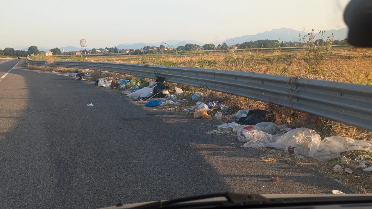 I rifiuti abbandonati: uno spettacolo desolante tra Saronno e Rovello Porro I rifiuti abbandonati: uno spettacolo desolante tra Saronno e Rovello Porro