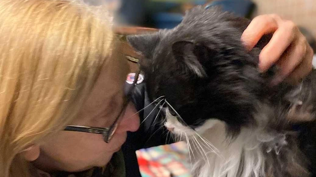 Il micio, 21 anni, fu scelto come testimonial di un video sull’attività dell’Asilo di Palazzolo. Lo spot diventò virale e fu notato dalla sua proprietaria che lo aveva perso a Milano anni prima.
