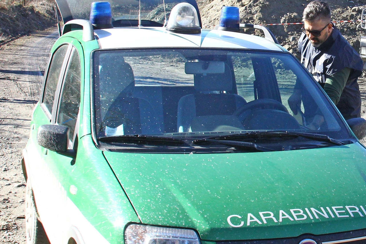 Carabinieri forestali (Archivio)