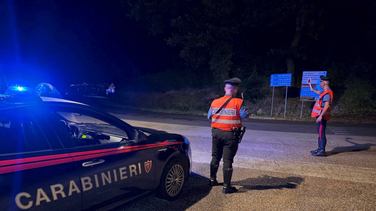Carabinieri in azione (foto di archivio)