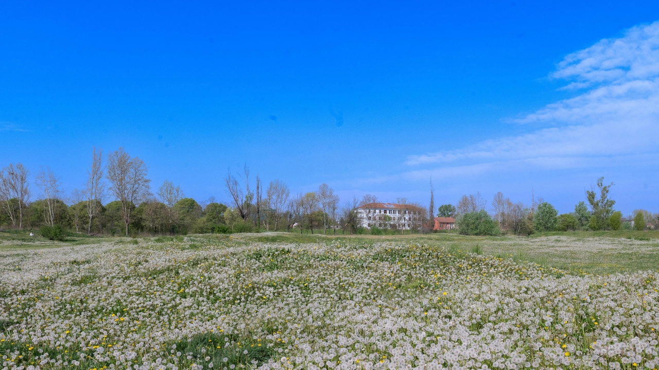 Con i suoi oltre 500mila metri quadrati di superficie è uno dei parchi più grandi della città, affacciato su viale... Con i suoi oltre 500mila metri quadrati di superficie è uno dei parchi più grandi della città, affacciato su viale...