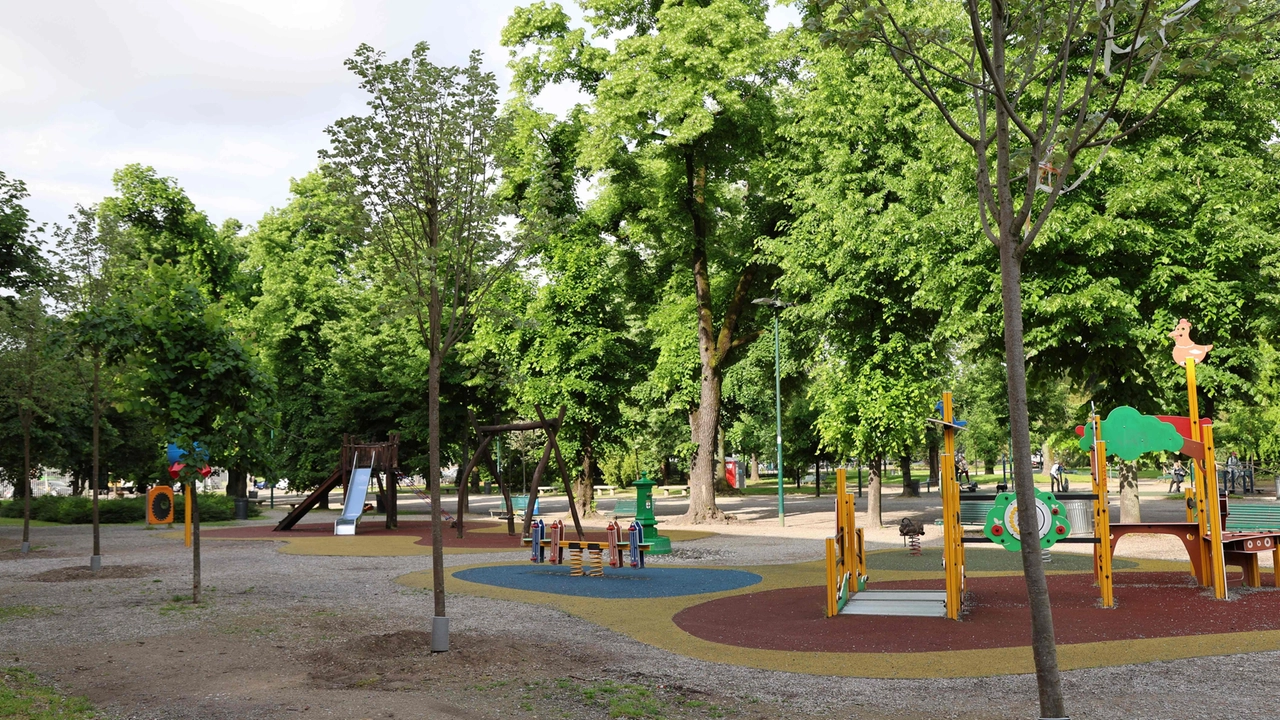 Alcuni degli alberi che sono stati collocati ai Giardini pubblici Indro Montanelli Alcuni degli alberi che sono stati collocati ai Giardini pubblici Indro Montanelli