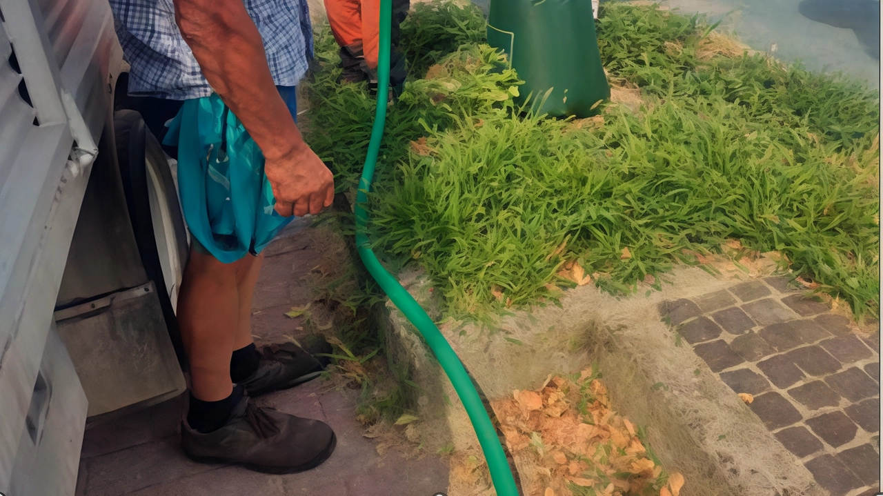 Il Comune di Assago adotta un innovativo sistema di irrigazione per le piante, i sacchi di irrigazione, che permette un'annaffiatura efficiente e un risparmio d'acqua significativo, contribuendo alla sostenibilità ambientale. Il Comune di Assago adotta un innovativo sistema di irrigazione per le piante, i sacchi di irrigazione, che permette un'annaffiatura efficiente e un risparmio d'acqua significativo, contribuendo alla sostenibilità ambientale.