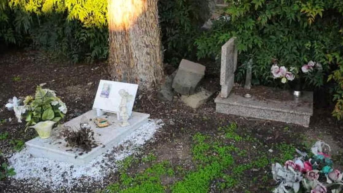 Cimitero di Pavia, danni nella sezione dei bambini: “Qualcuno col decespugliatore distrugge tutto ciò che è appoggiato alle tombe” Cimitero di Pavia, danni nella sezione dei bambini: “Qualcuno col decespugliatore distrugge tutto ciò che è appoggiato alle tombe”