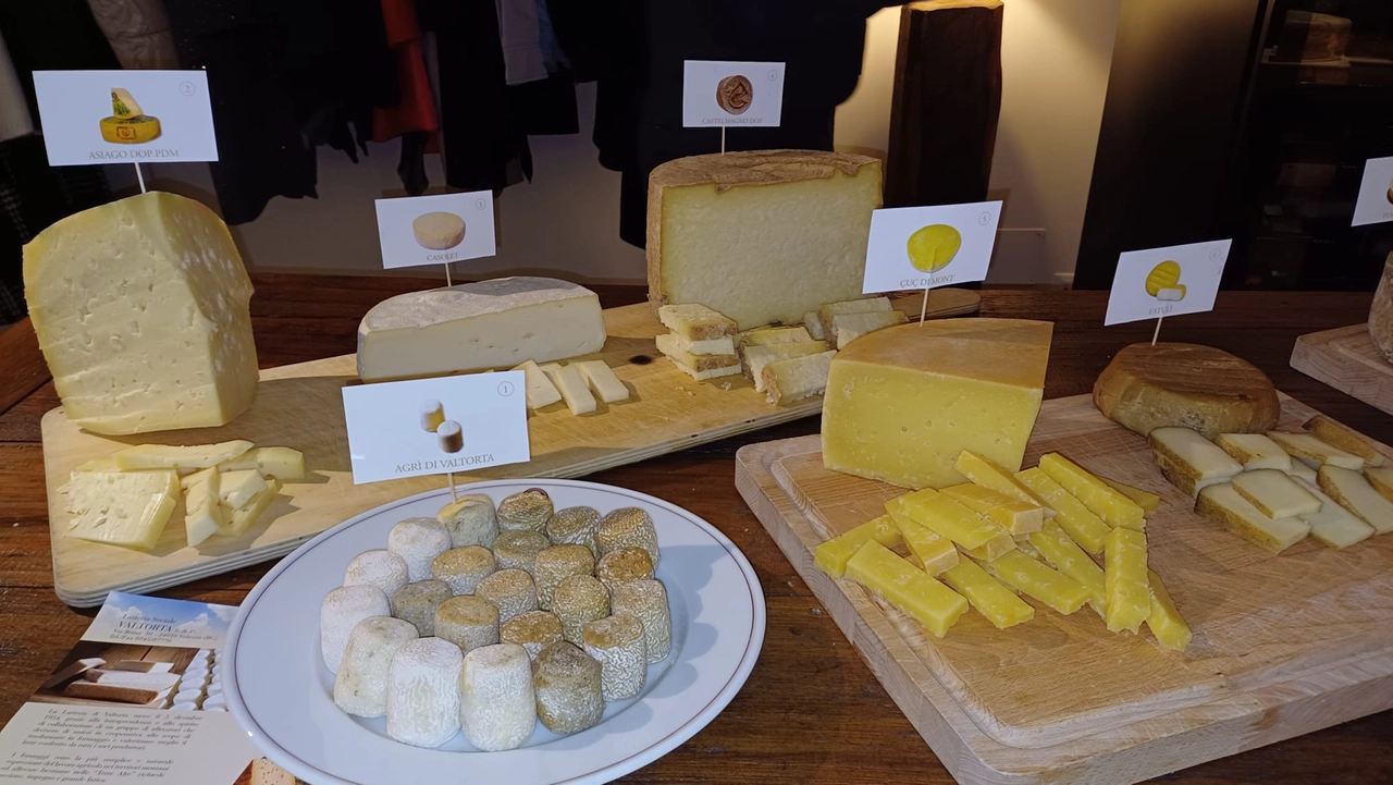 Formaggi in degustazione