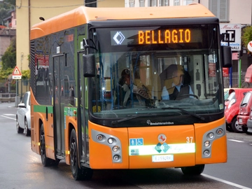 immagine articolo