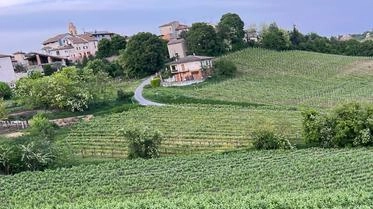 Montalto Pavese, nessun altro mezzo coinvolto. Broni invece investito un ciclista poi portato in ospedale Montalto Pavese, nessun altro mezzo coinvolto. Broni invece investito un ciclista poi portato in ospedale