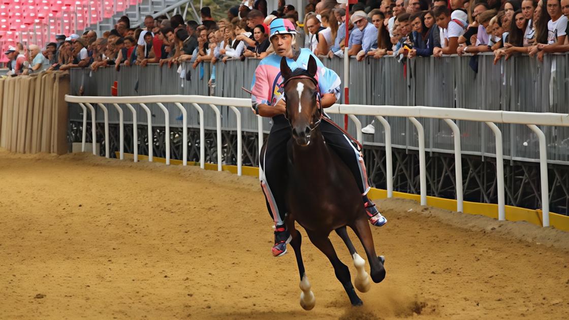 il palio di legnano del futuro sarà senza cavalli di razza purosangue inglese