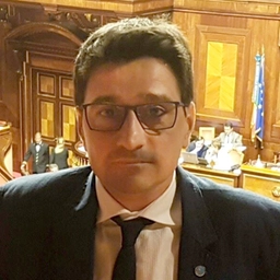 Daniele De Salvo, Giornalista Il Giorno