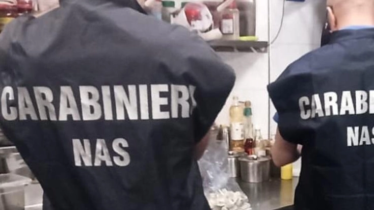Carabinieri del Nas in azione in un ristorante (Foto archivio) Carabinieri del Nas in azione in un ristorante (Foto archivio)