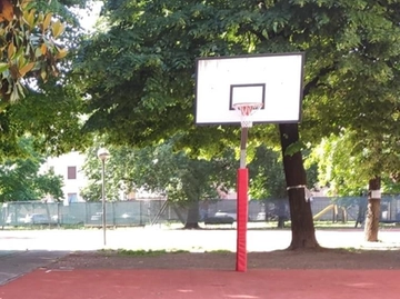 immagine articolo