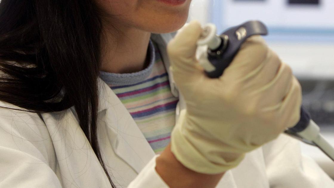 Nasce qui un medicinale su due Nasce qui un medicinale su due