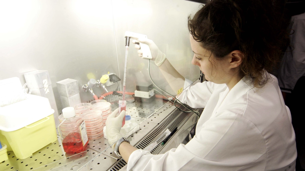 I ricercatori dell’Ieo hanno testato le frontiere della biopsia liquida che non richiede prelievo di tessuto tumorale basandosi sul sangue venoso I ricercatori dell’Ieo hanno testato le frontiere della biopsia liquida che non richiede prelievo di tessuto tumorale basandosi sul sangue venoso