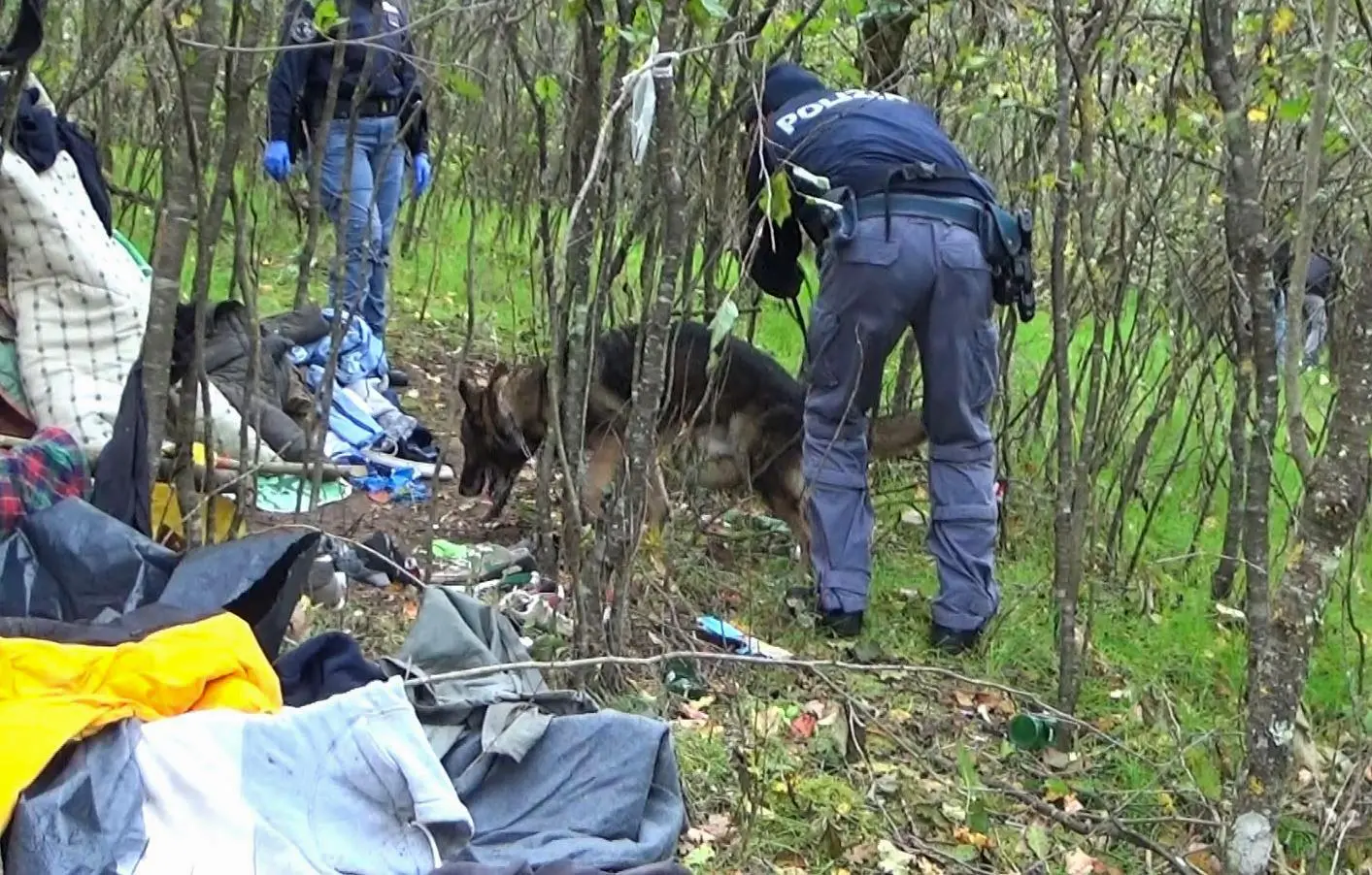 Droga, armi, passamontagna e una tenda-laboratorio: cosa ha scoperto la polizia nei boschi di Talamona