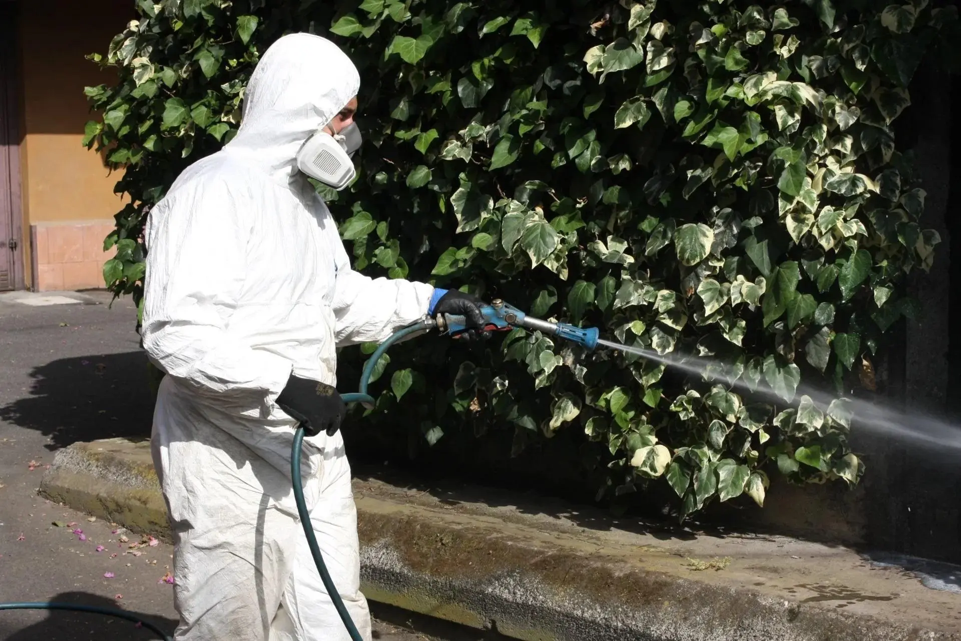 Colico, caso sospetto di chikungunya: scatta la disinfestazione