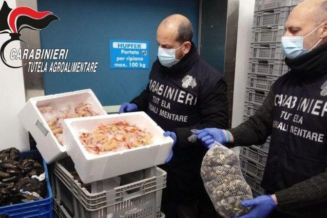 Se non si seguono attenti e rigorosi protocolli igienici e di conservazione i frutti di mare possono rivelarsi un boomerang